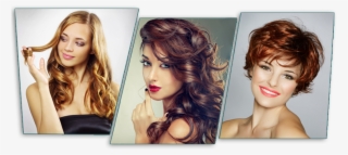 Hair Styles - Beauty Parlour Women Png #9443040