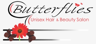 Barberton Daisy #9443073