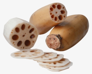 Free Png Download Lotus Root Png Images Background - Lotus Root Png #9443336