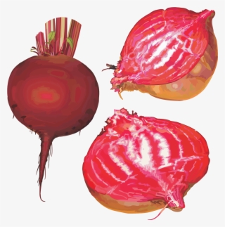 Red Beet Root Physical Material - Свекла Клипарт #9443483 Red Beet Root Physical Material - Свекла Клипарт #9443483