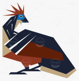 Feather Bird Hoatzin - Illustration #9444139