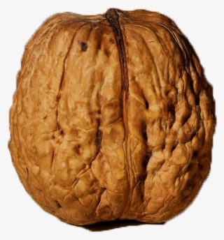 600 X 600 2 - Pista Akhrot #9445820