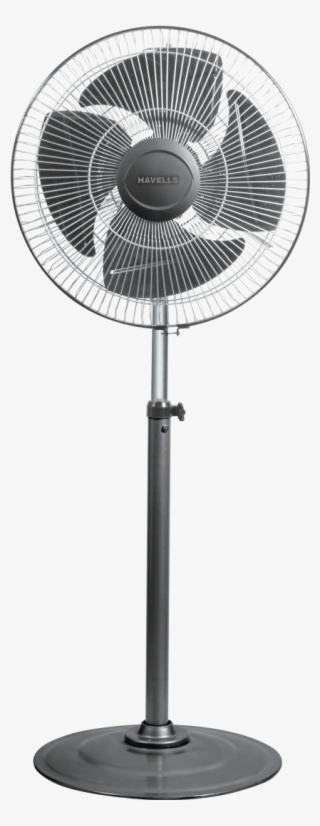 Windstrom - Pedestal Fan Havells #9446931