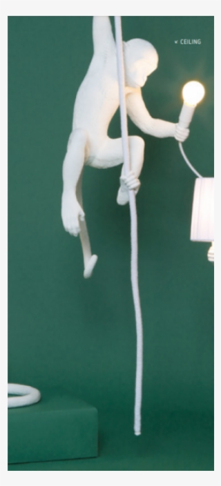 Monkey Lamp With Rope - Monkey Lamp Ceiling Version By Seletti #9448078