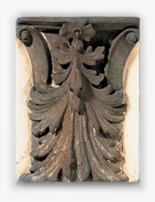 Forgot Password - Relief #9448327