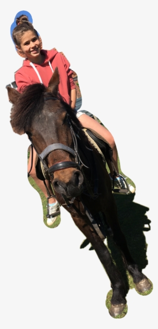 Stallion #9448520