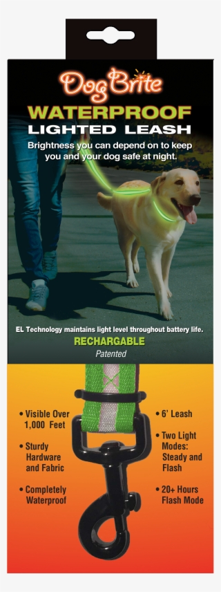 Dog Catches Something #9449812