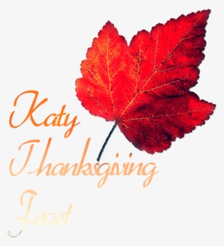 Katy Thanksgiving Community Dinner Feast Serves Home - Stylistic #9450570