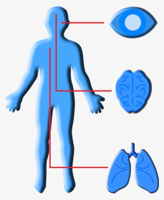 Dental Lab Applications #9451886