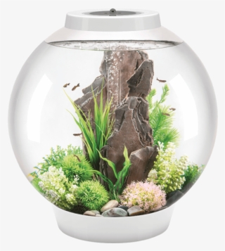 The Transparent Spherical Shape For An All-round View - Biorb Classic #9452151