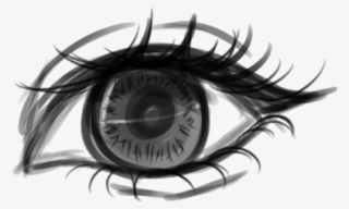 Vector Library Stock Transparent Drawings Eye - Eye Sketch Transparent #9452609