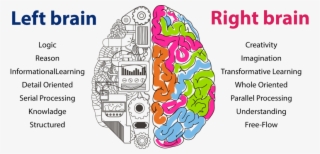 Right Brain Development - Neural Networks And Deep Learning #9453370
