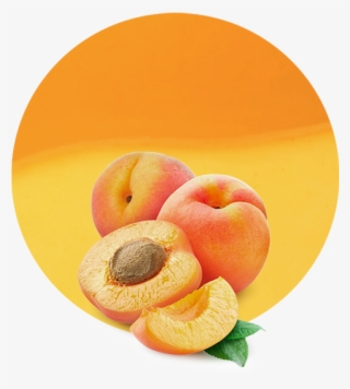 Com/wp Puree - Basix Series Caribbean Punch #9453708