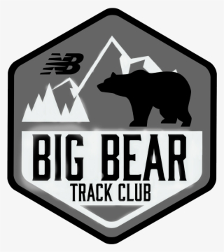 Grizzly Bear #9454316 Grizzly Bear #9454316