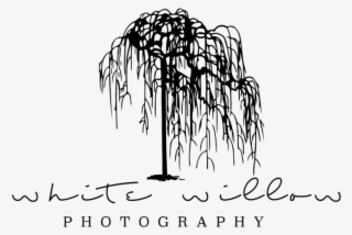 The Biggest Decision - White Willow Logo #9454629