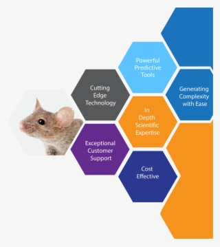 Mirimus Is Engaged In The Design, Development And Pioneering - Hobby Club #9454921