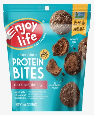 Protein Bites - Enjoy Life Protein Bites #9455423