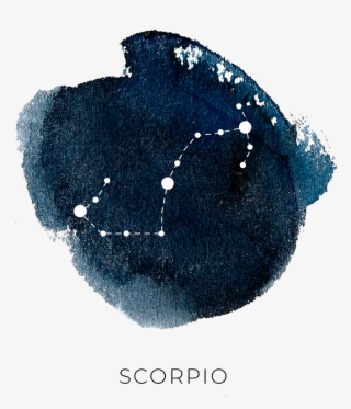 0 - Marine Invertebrates #9455479