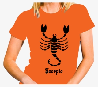 Scorpio - Scorpio Scorpion #9455592