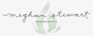 Meghan Stewart Photography - Calligraphy #9455979