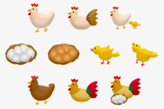 Baby Chick Png - Chicken #9456495