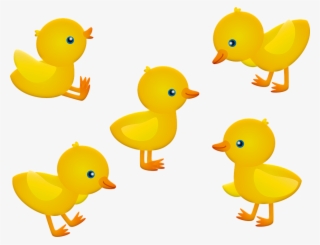 Baby Chick Png - Pintinhos Png #9456498