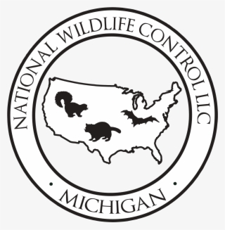 Groundhog Removal - Cia Clandestine Operations Logo #9457093