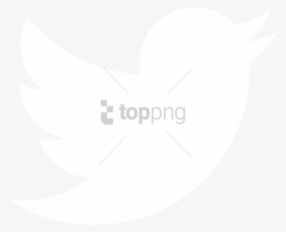 Free Png Twitter Icon White Transparent Png Image With - White Transparent Twitter Jpeg #9458346