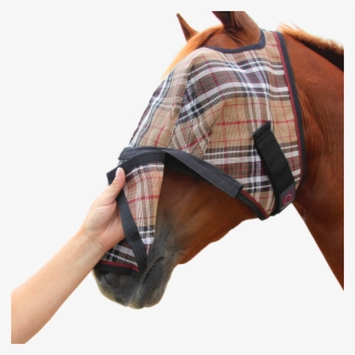Fly Mask With Removable Nose - Tartan #9458824 Fly Mask With Removable Nose - Tartan #9458824