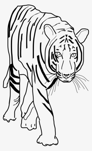 This Free Icons Png Design Of Tiger 2 #9459307