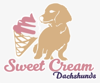 Specializing In Quality Akc Home Bred Long Haired Miniature - Dog Catches Something #9459470