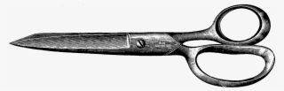 Jpg Transparent Stock Png Of A Pair Transparent This - Scissors Png Vintage #9459511