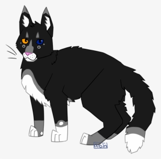 Picture - Cat Yawns #9461275 Picture - Cat Yawns #9461275