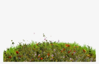 Grass Hill Png - Grass #9461452