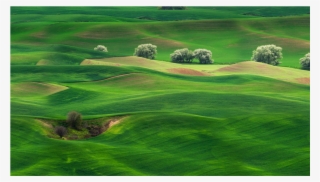 Huawei Mate 10 #9461535