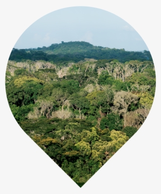 Wider Taï Forest Area, Côte D'ivoire - Hill #9461621