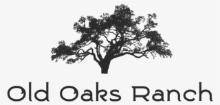 Old Oaks Ranch Fb-8 Format=1500w #9462109