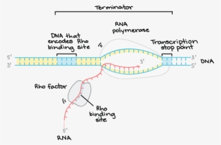 1367 X 806 9 - Diagram #9462281