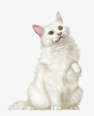 0 2cb2a5 973ab365 Orig - Artist Laguna Design Cats #9462489