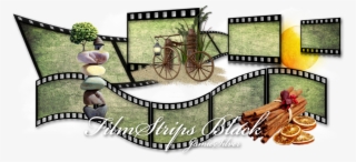 *film Strips Black* - Tree #9463069 *film Strips Black* - Tree #9463069