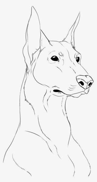 1024 X 1536 7 - Dobermann #9463529