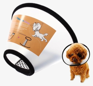 Sen Fang Elizabeth Circle Dog Collar Dog Head Set Cat - Vòng Chống Liếm Chó Mèo #9463575