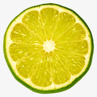 Png Library Stock Psd Official Psds - Lime Slice #9463743