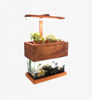 Herb Garden - Houseplant #9463941