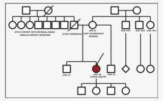 The Red Circle Depicts The Patient Who Developed Colorectal - Diagram #9464531