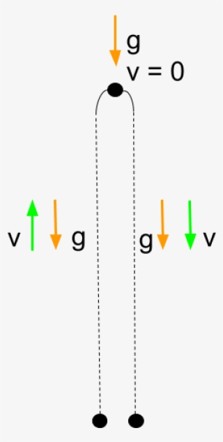 Direction Of Velocity And Acceleration For A Ball Thrown - Diagram #9465162
