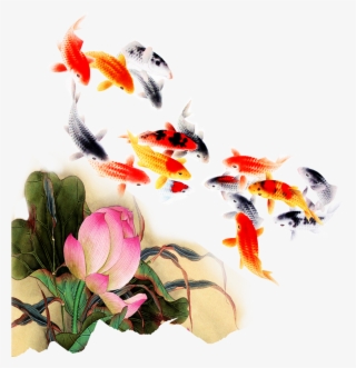 Computer File Kam Transprent Png Petal Organism - Jumping Koi Fish Png #9465196