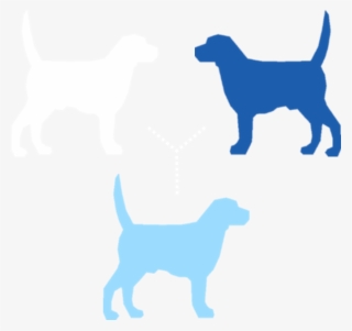 Buy With Certainty - Bunty Harness Size Guide #9465849