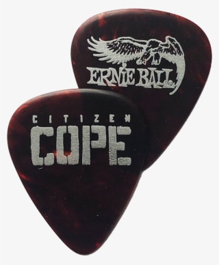 Guitar Pick 5 Pck - Ernie Ball #9467551