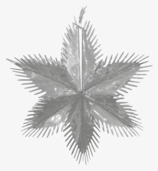 Christmas Metallic Foil Starburst 60cm - Pond Pine #9467773